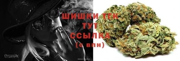 сатива Баксан