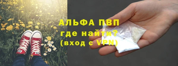 сатива Баксан