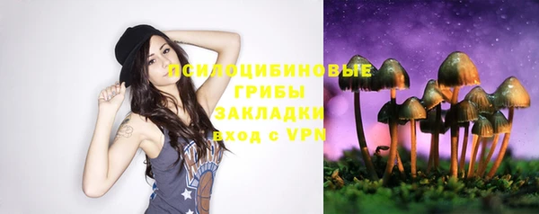 сатива Баксан