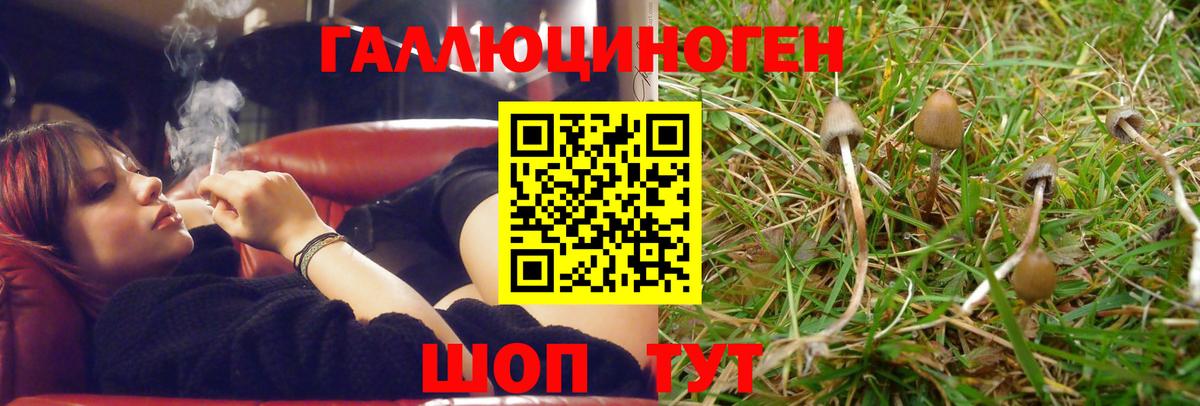 Кунгур  Псилоцибиновые грибы MAGIC MUSHROOMS  купить закладку  Вход с VPN 